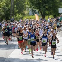 Inga skildring tilgjengeleg for biletet.